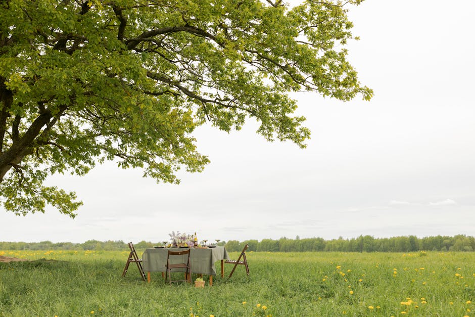 Tips on Creating an Inviting Outdoor Space