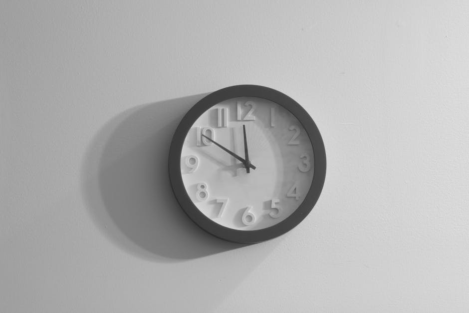 Best Practices in Time Management Techniques