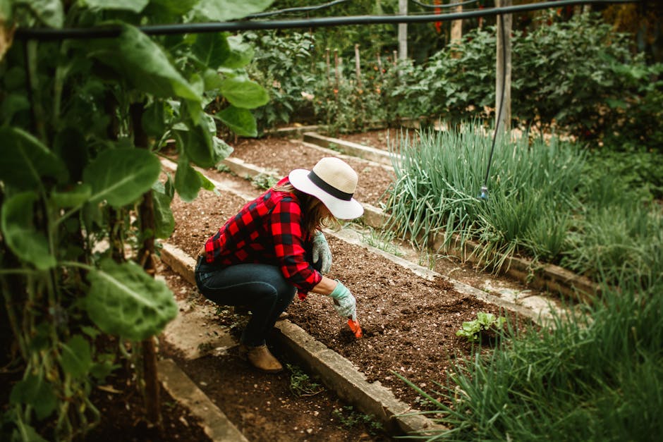 How to Create a Sustainable Garden at Home